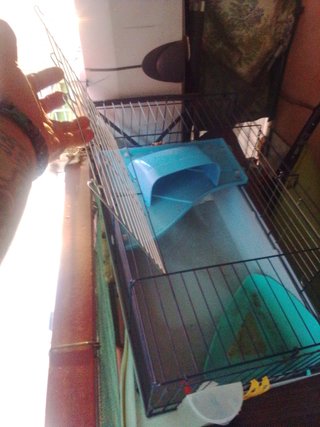 Jaula para cobaya o conejo