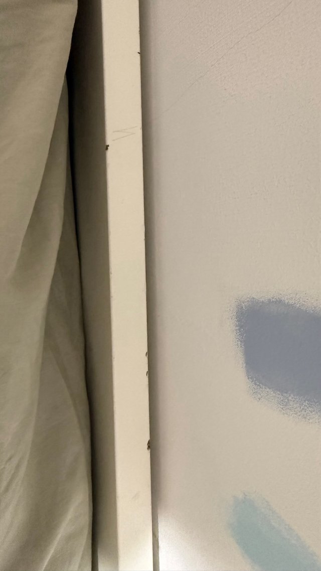 Cama nido blanca con cajones Ikea