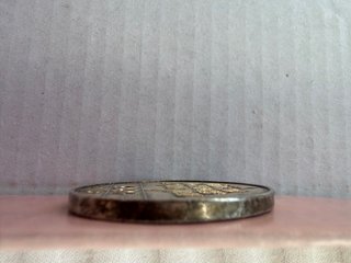 Moneda General La Fayette plata