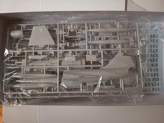 Maqueta F-104J/CF-104 Starfighter (Hasegawa, 1:72)