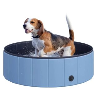 Piscina Plegable para Perros
