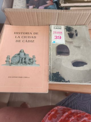 Libros historia de Cádiz y Vejer de la frontera