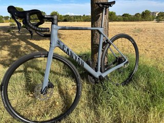 Canyon Endurace CF 7 Carbono 2025 L - Shimano 105