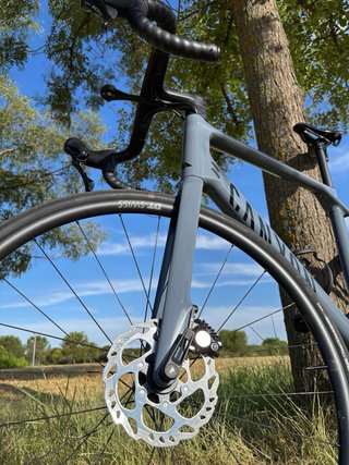 Canyon Endurace CF 7 Carbono 2025 L - Shimano 105