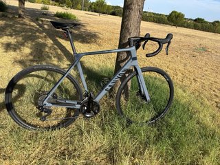 Canyon Endurace CF 7 Carbono 2025 L - Shimano 105