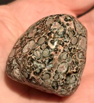 Pietre diaspro leopardino grezze lucidate