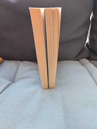 Diary of a Wimpy Kid