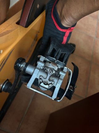 Bicicleta Spinning Salter Plus