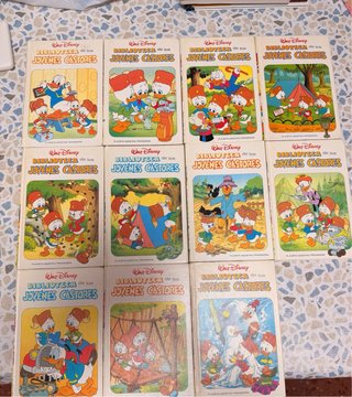 Lote libros variados