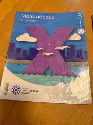 MATEMATICAS M LIGERA 5 PRIMARIA CONSTRUYENDO MU...
