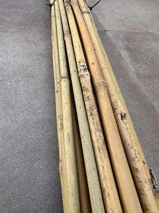 Lote 40 cañas bambú 150cm