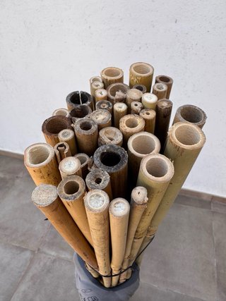 Lote 40 cañas bambú 150cm