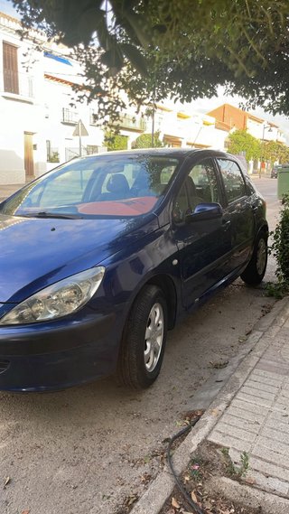 Peugeot 307 2005