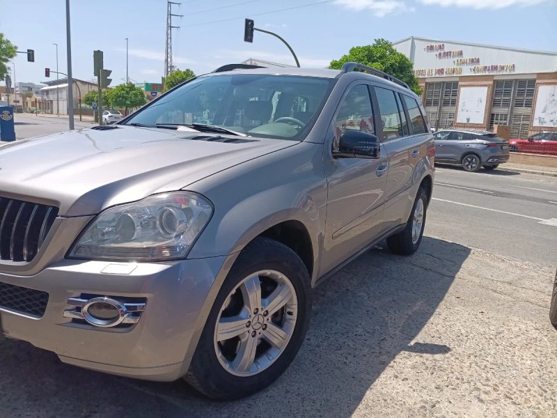 Mercedes-Benz GL 320 CDI X164 2007, foto 2