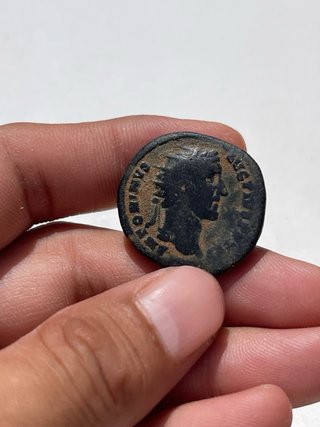 Lote de romanas