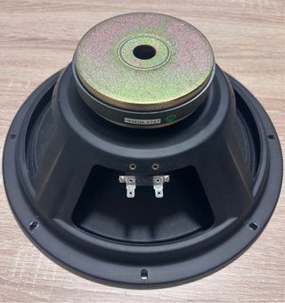 Altavoz 12 pulgadas