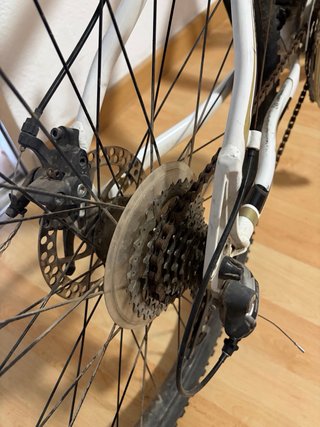 Bicicleta Orbea Sport Montaña