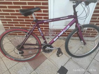 Bicicleta BH Top Line 26 Aluminio