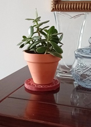 Árbol de Jade Frondoso en Maceta de Barro
