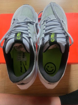 Nike Pegasus 40 Gris y Amarillo