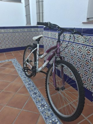 Bicicleta niña morada y blanca