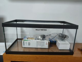 Acuario con accesorios