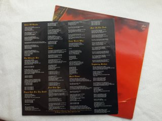 Vinilo Ozzy Osbourne The Ultimate Sin