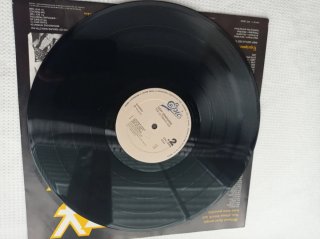 Vinilo Ozzy Osbourne The Ultimate Sin
