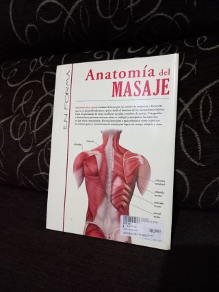 Anatomía del masaje
