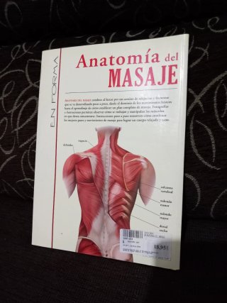 Anatomía del masaje