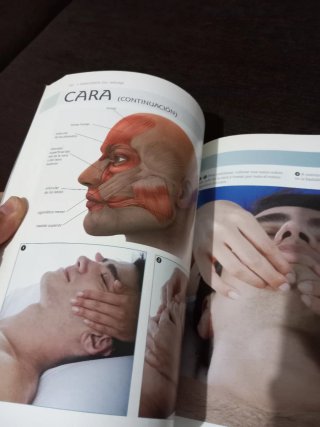Anatomía del masaje