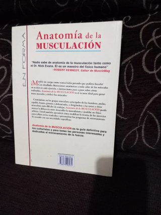 ANATOMÍA DE LA MUSCULACIÓN