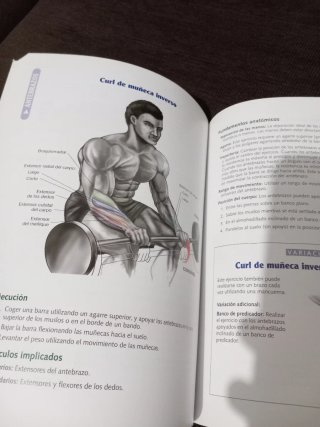 ANATOMÍA DE LA MUSCULACIÓN