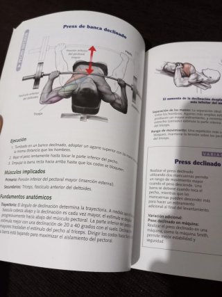 ANATOMÍA DE LA MUSCULACIÓN