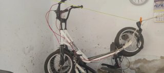 Patin Scooter Blanco