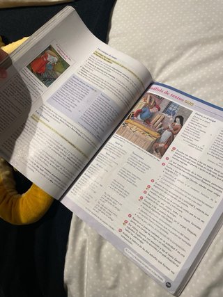 Lengua castellana y literatura I. Libro del est...