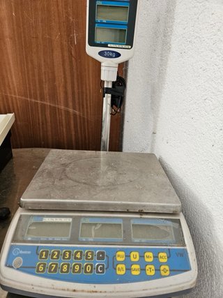 Báscula Comercial Baxtran Profesional 30kg