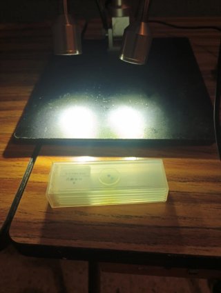 Microscopio profesional con luces
