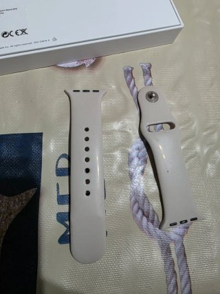 Apple Watch SE 1ª Gen Plata