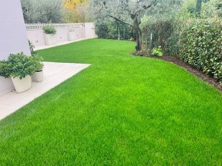 Desbroces y mantenimiento de jardinería