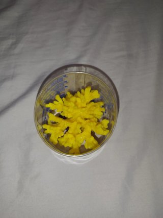 Coral Decorativo acuario Amarillo