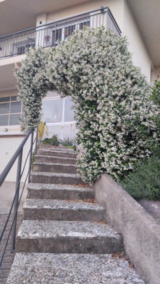 CASA,TERRENO,PISCINA, GARAJE, CALEFACCIÓN.