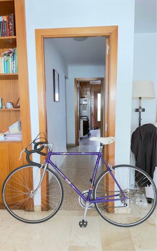 Bicicleta Contini Morada