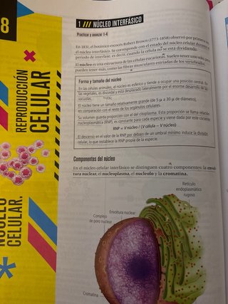 Lote de libros 2 de bachillerato. Forrados