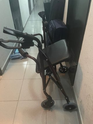 Andador con asiento y cesta