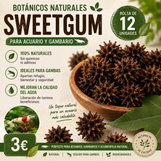 Sweetgum para gambas | Liquidámbar | Botánicos