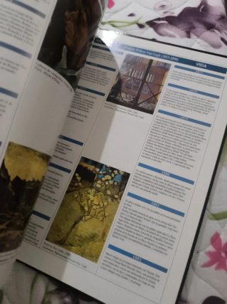 Libro vang gogh