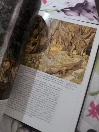 Libro vang gogh