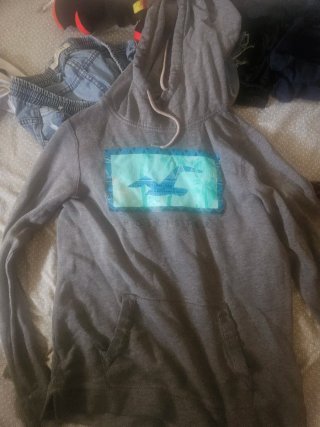 Sudadera Gris Hollister con Logo Teal