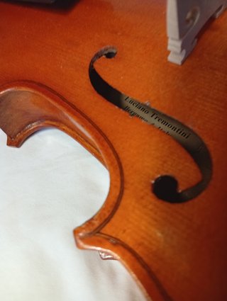 VIOLÍN 1/2 ESTUDIO